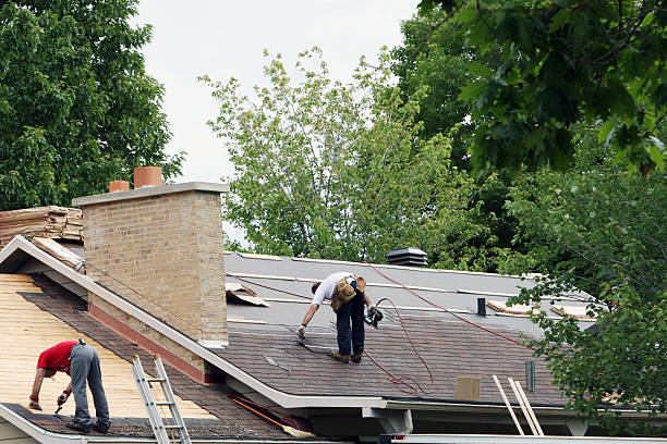 Best Roof Gutter Cleaning  in Ke Providence, LA